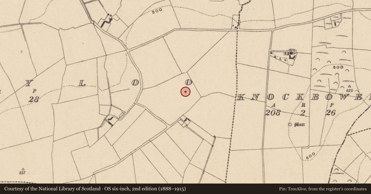 Ordnance Survey six-inch map, 2nd edition (1888–1915) covering the location of Ring-ditch, Ballyloo, County Carlow, with a pin at the register's coordinates