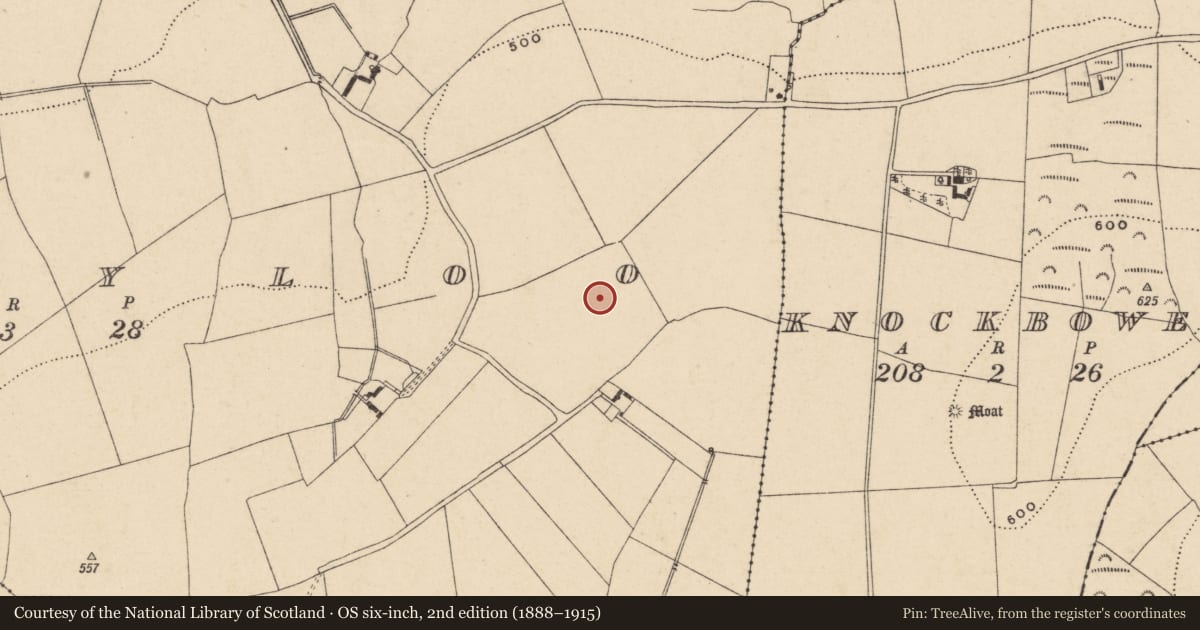 Ordnance Survey six-inch map, 2nd edition (1888–1915) covering the location of Ring-ditch, Ballyloo, County Carlow, with a pin at the register's coordinates