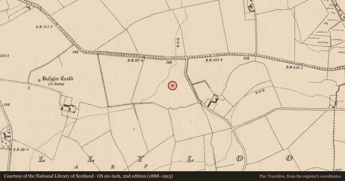 Ordnance Survey six-inch map, 2nd edition (1888–1915) covering the location of Enclosure, Ballyloo, County Carlow, with a pin at the register's coordinates