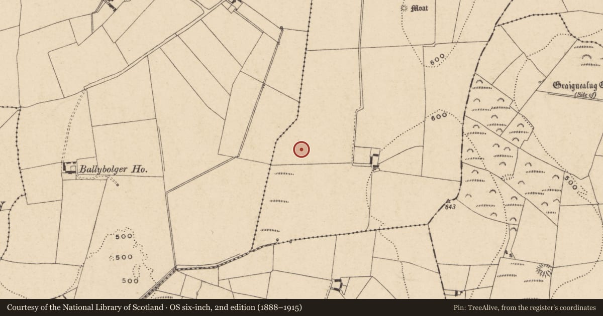 Ordnance Survey six-inch map, 2nd edition (1888–1915) covering the location of Enclosure, Knockbower, County Carlow, with a pin at the register's coordinates