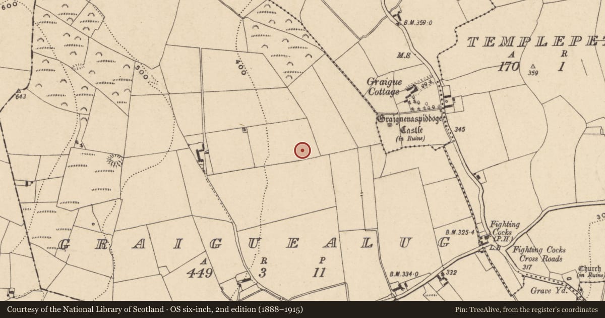 Ordnance Survey six-inch map, 2nd edition (1888–1915) covering the location of Enclosure - large enclosure, Graiguealug, County Carlow, with a pin at the register's coordinates