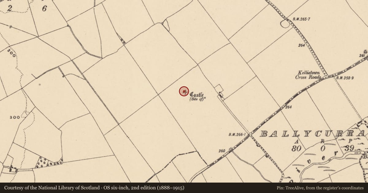 Ordnance Survey six-inch map, 2nd edition (1888–1915) covering the location of Castle - unclassified, Kellistown West, County Carlow, with a pin at the register's coordinates