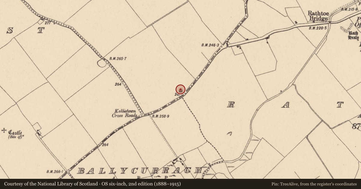 Ordnance Survey six-inch map, 2nd edition (1888–1915) covering the location of Barrow - mound barrow, Kellistown East, County Carlow, with a pin at the register's coordinates