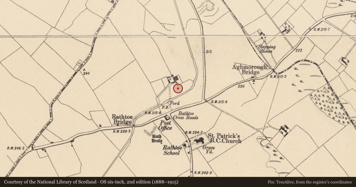 Ordnance Survey six-inch map, 2nd edition (1888–1915) covering the location of Enclosure, Rathtoe, County Carlow, with a pin at the register's coordinates
