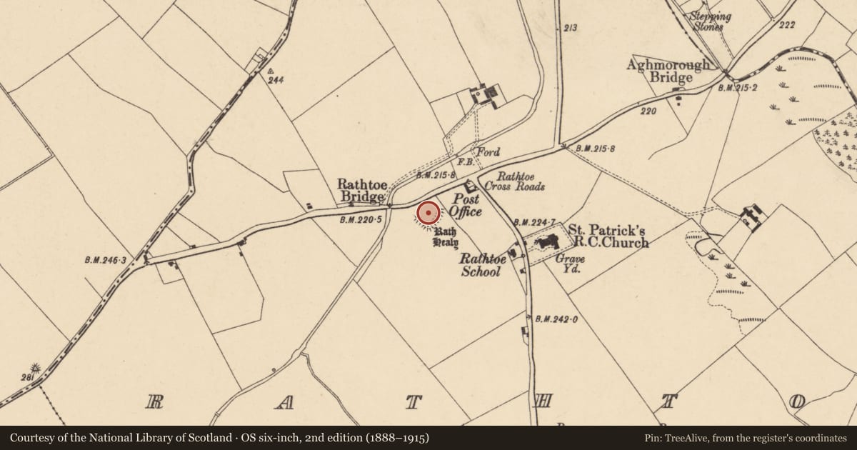 Ordnance Survey six-inch map, 2nd edition (1888–1915) covering the location of Moated site, Rathtoe, County Carlow, with a pin at the register's coordinates