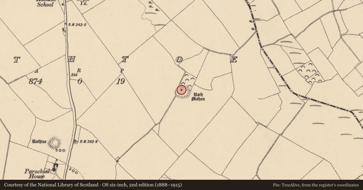 Ordnance Survey six-inch map, 2nd edition (1888–1915) covering the location of Ringfort - rath, Rathtoe, County Carlow, with a pin at the register's coordinates