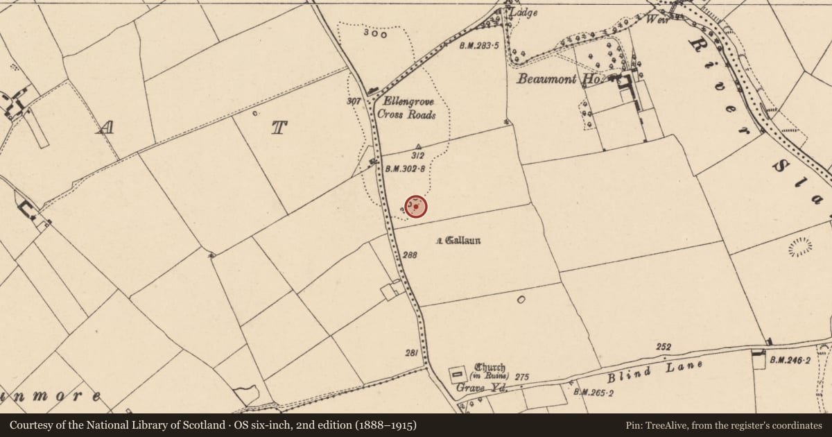 Ordnance Survey six-inch map, 2nd edition (1888–1915) covering the location of Standing stone, Ardristan, County Carlow, with a pin at the register's coordinates