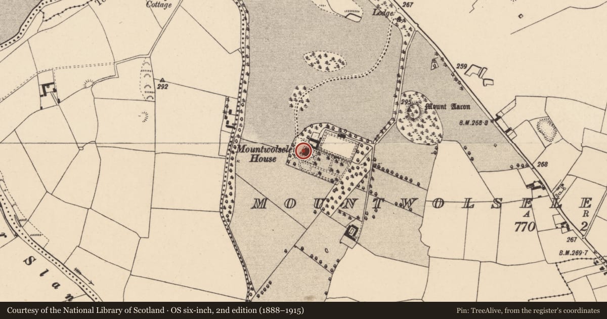 Ordnance Survey six-inch map, 2nd edition (1888–1915) covering the location of Cross (present location), Mountwolseley Or Crosslow, County Carlow, with a pin at the register's coordinates