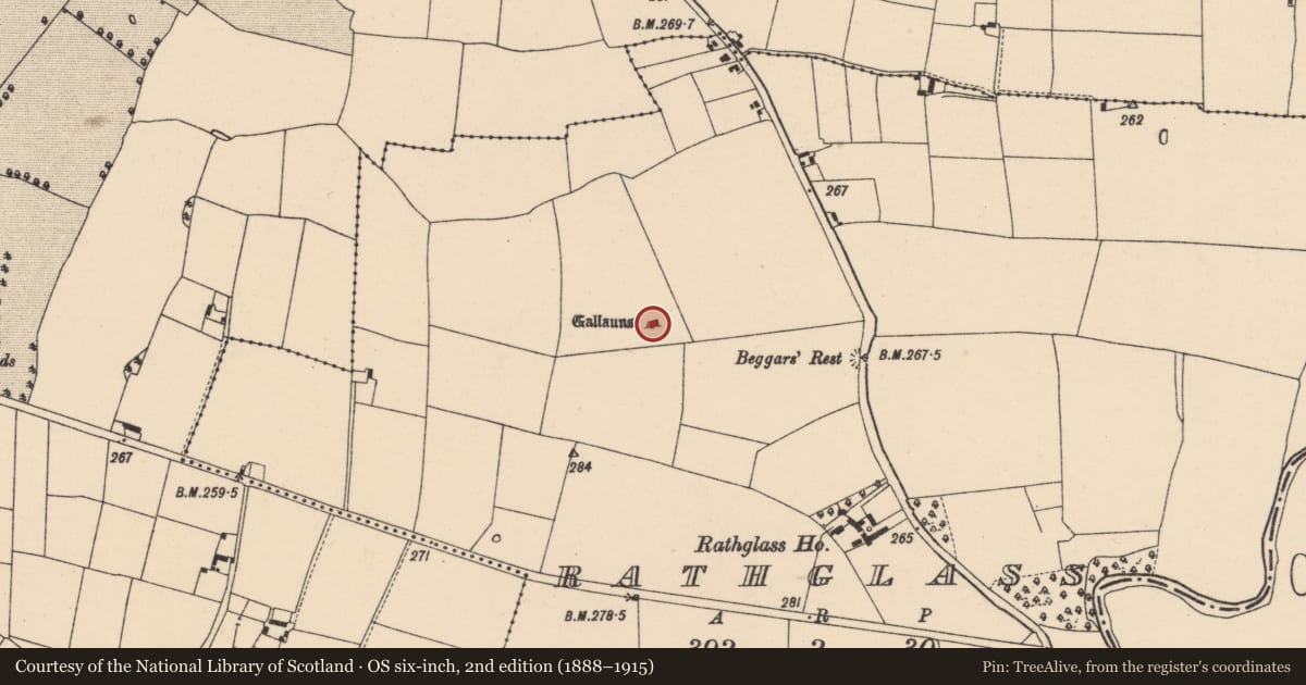 Ordnance Survey six-inch map, 2nd edition (1888–1915) covering the location of Ogham stone, Rathglass, County Carlow, with a pin at the register's coordinates