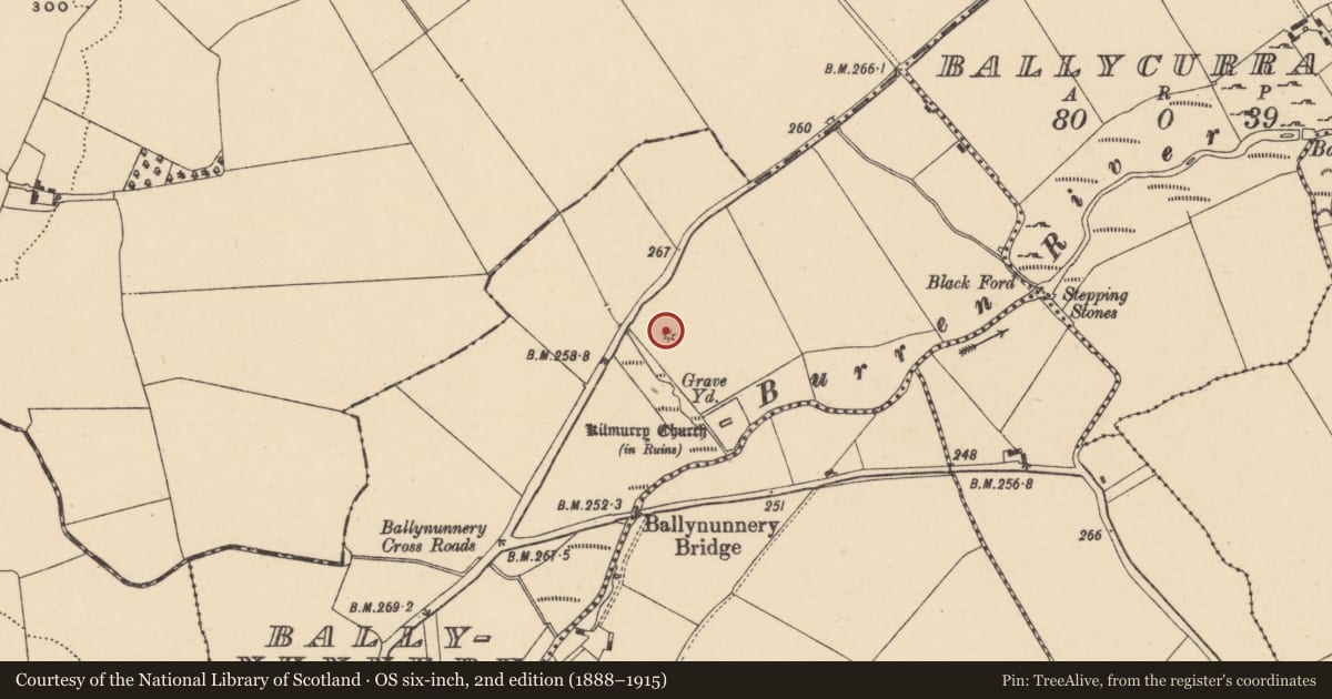 Ordnance Survey six-inch map, 2nd edition (1888–1915) covering the location of Barrow - mound barrow, Ballynunnery, County Carlow, with a pin at the register's coordinates