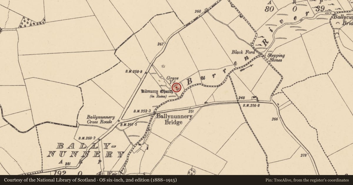 Ordnance Survey six-inch map, 2nd edition (1888–1915) covering the location of Church, Ballynunnery, County Carlow, with a pin at the register's coordinates