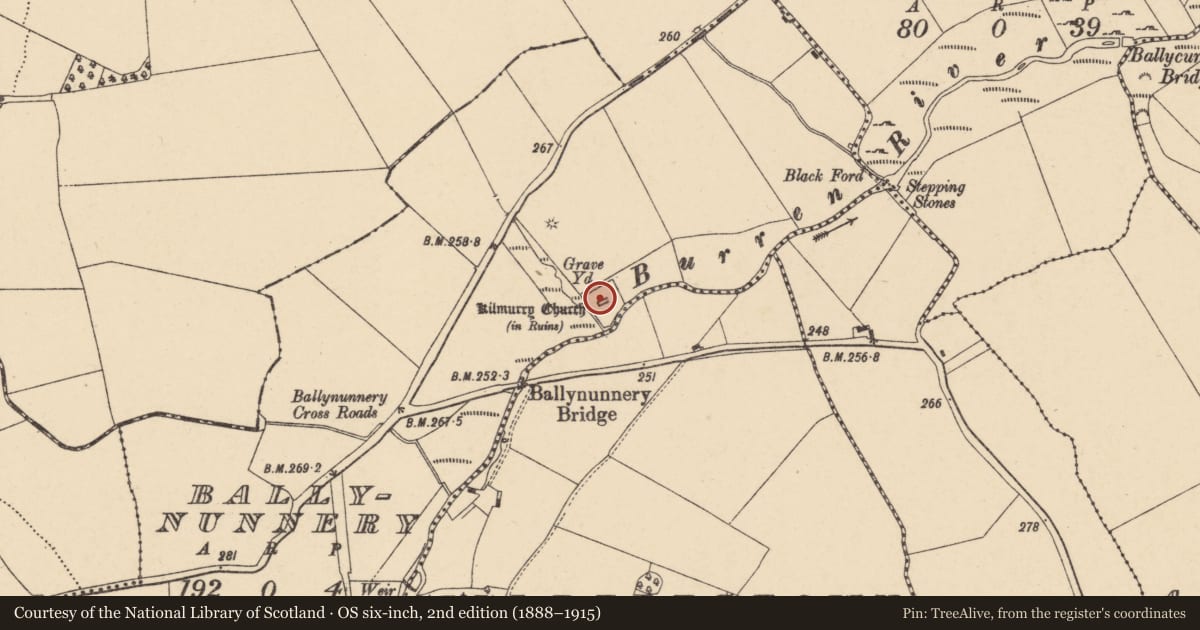 Ordnance Survey six-inch map, 2nd edition (1888–1915) covering the location of Graveyard, Ballynunnery, County Carlow, with a pin at the register's coordinates
