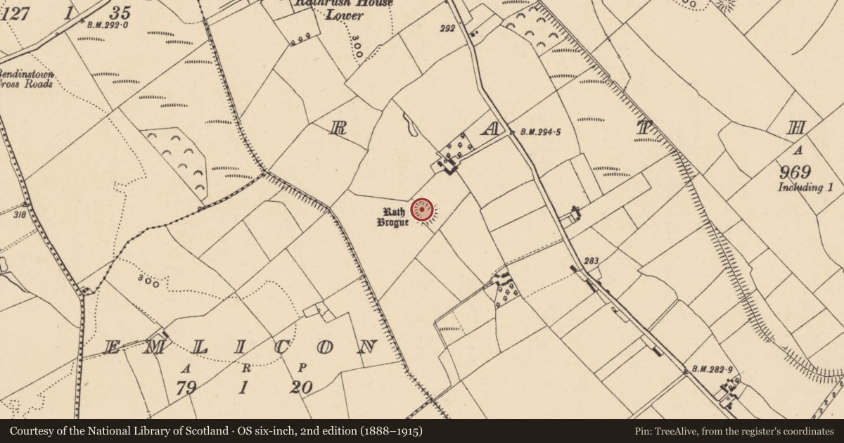 Ordnance Survey six-inch map, 2nd edition (1888–1915) covering the location of Enclosure, Rathrush, County Carlow, with a pin at the register's coordinates