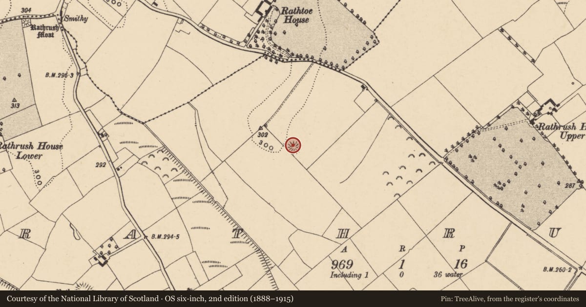 Ordnance Survey six-inch map, 2nd edition (1888–1915) covering the location of Ringfort - rath, Rathrush, County Carlow, with a pin at the register's coordinates