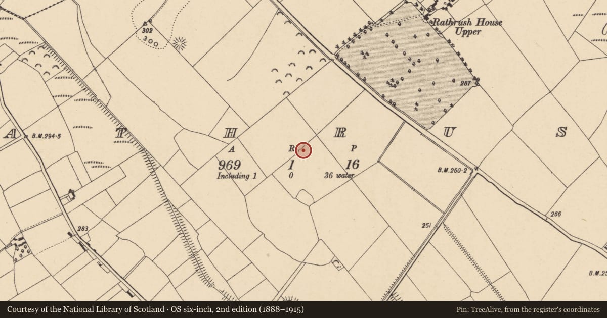 Ordnance Survey six-inch map, 2nd edition (1888–1915) covering the location of Earthwork, Rathrush, County Carlow, with a pin at the register's coordinates