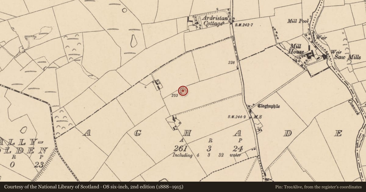 Ordnance Survey six-inch map, 2nd edition (1888–1915) covering the location of Enclosure, Aghade, County Carlow, with a pin at the register's coordinates
