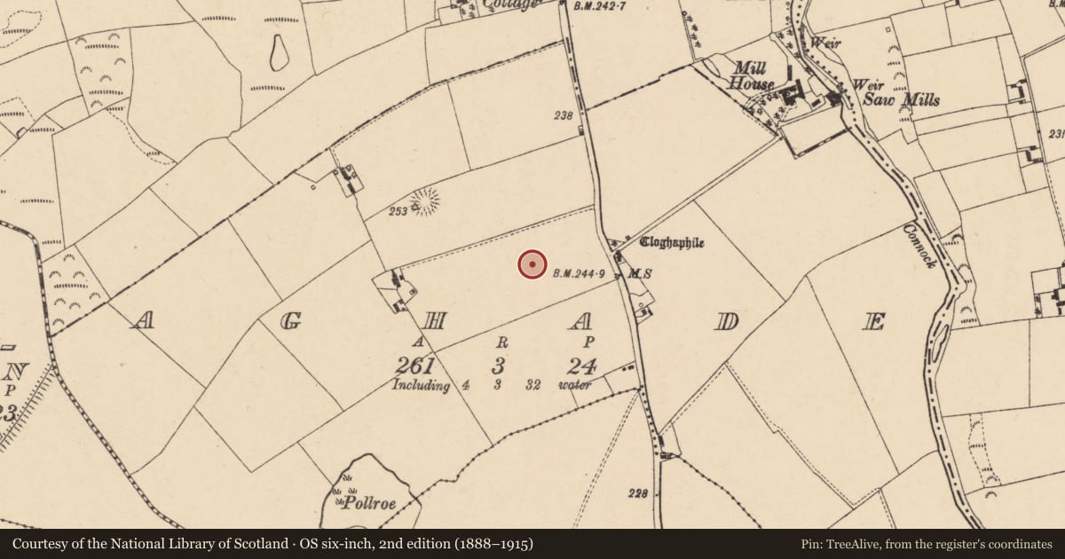 Ordnance Survey six-inch map, 2nd edition (1888–1915) covering the location of Standing stone, Aghade, County Carlow, with a pin at the register's coordinates