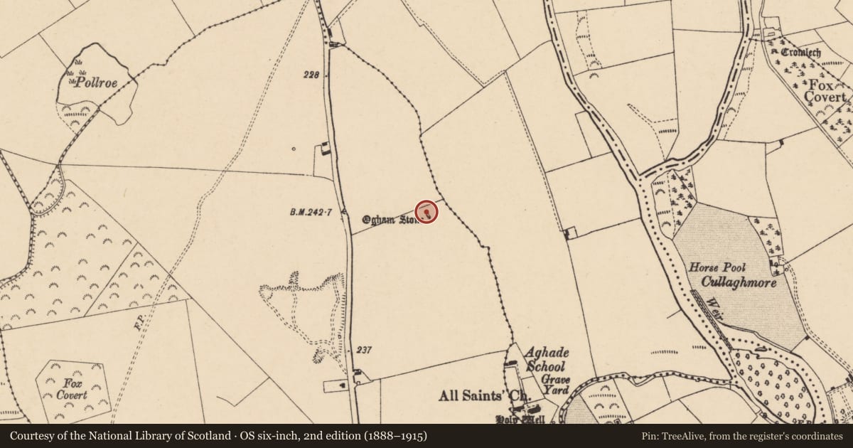 Ordnance Survey six-inch map, 2nd edition (1888–1915) covering the location of Standing stone, Castlegrace, County Carlow, with a pin at the register's coordinates