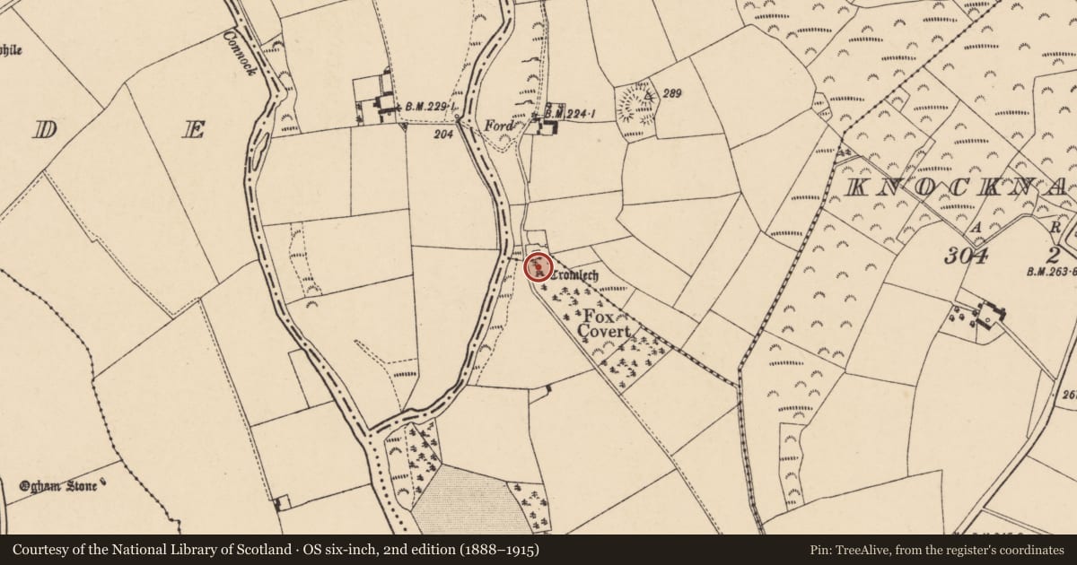 Ordnance Survey six-inch map, 2nd edition (1888–1915) covering the location of Megalithic tomb - portal tomb, Ballynoe Or Newtown, County Carlow, with a pin at the register's coordinates
