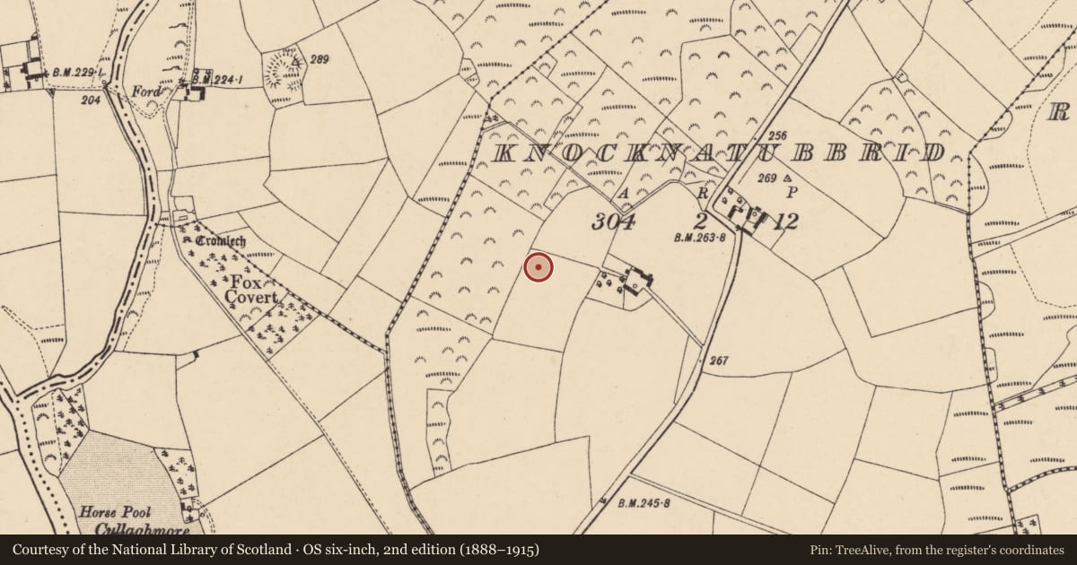 Ordnance Survey six-inch map, 2nd edition (1888–1915) covering the location of Cist, Knocknatubbrid, County Carlow, with a pin at the register's coordinates