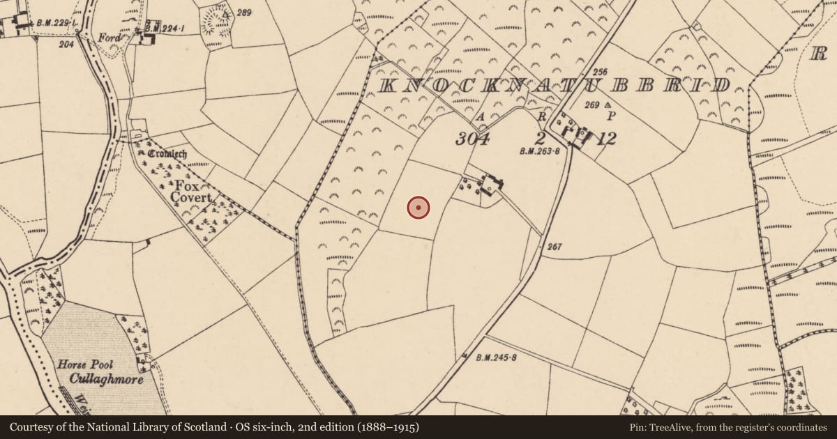 Ordnance Survey six-inch map, 2nd edition (1888–1915) covering the location of Standing stone, Knocknatubbrid, County Carlow, with a pin at the register's coordinates
