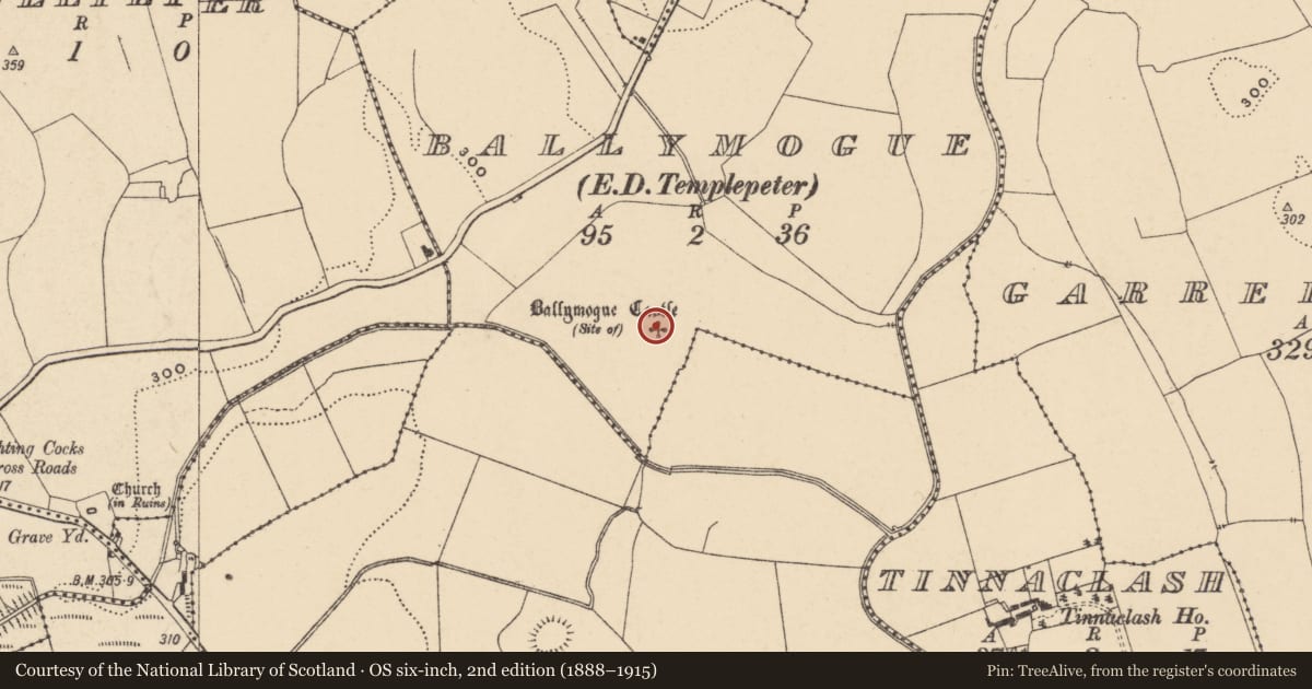Ordnance Survey six-inch map, 2nd edition (1888–1915) covering the location of Castle - unclassified, Ballymogue, County Carlow, with a pin at the register's coordinates