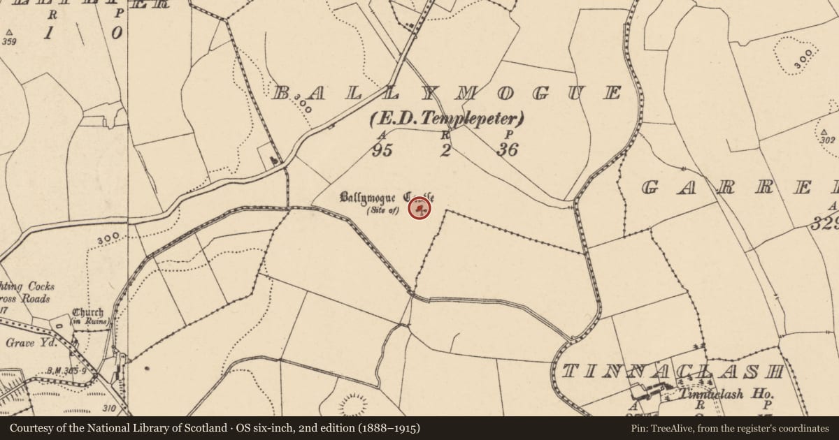 Ordnance Survey six-inch map, 2nd edition (1888–1915) covering the location of Earthwork, Ballymogue, County Carlow, with a pin at the register's coordinates