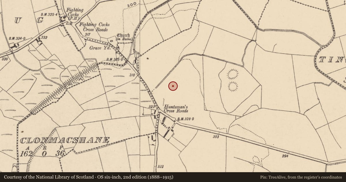 Ordnance Survey six-inch map, 2nd edition (1888–1915) covering the location of Bullaun stone, Ballintrane, County Carlow, with a pin at the register's coordinates