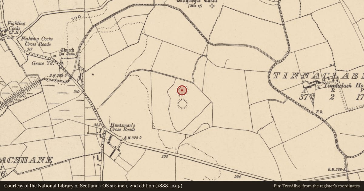 Ordnance Survey six-inch map, 2nd edition (1888–1915) covering the location of Ringfort - rath, Ballintrane, County Carlow, with a pin at the register's coordinates