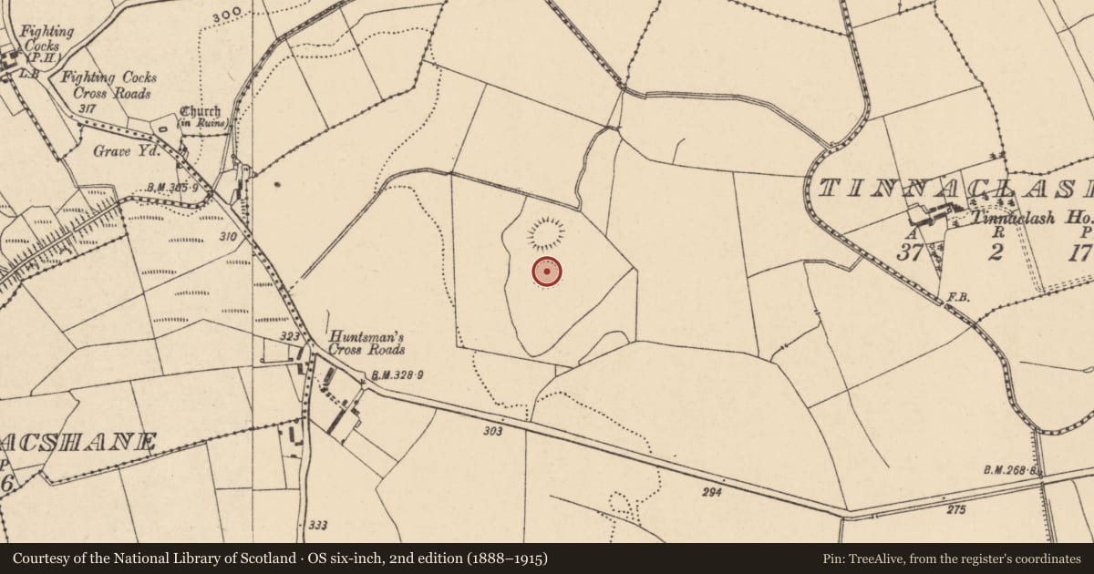 Ordnance Survey six-inch map, 2nd edition (1888–1915) covering the location of Enclosure, Ballintrane, County Carlow, with a pin at the register's coordinates