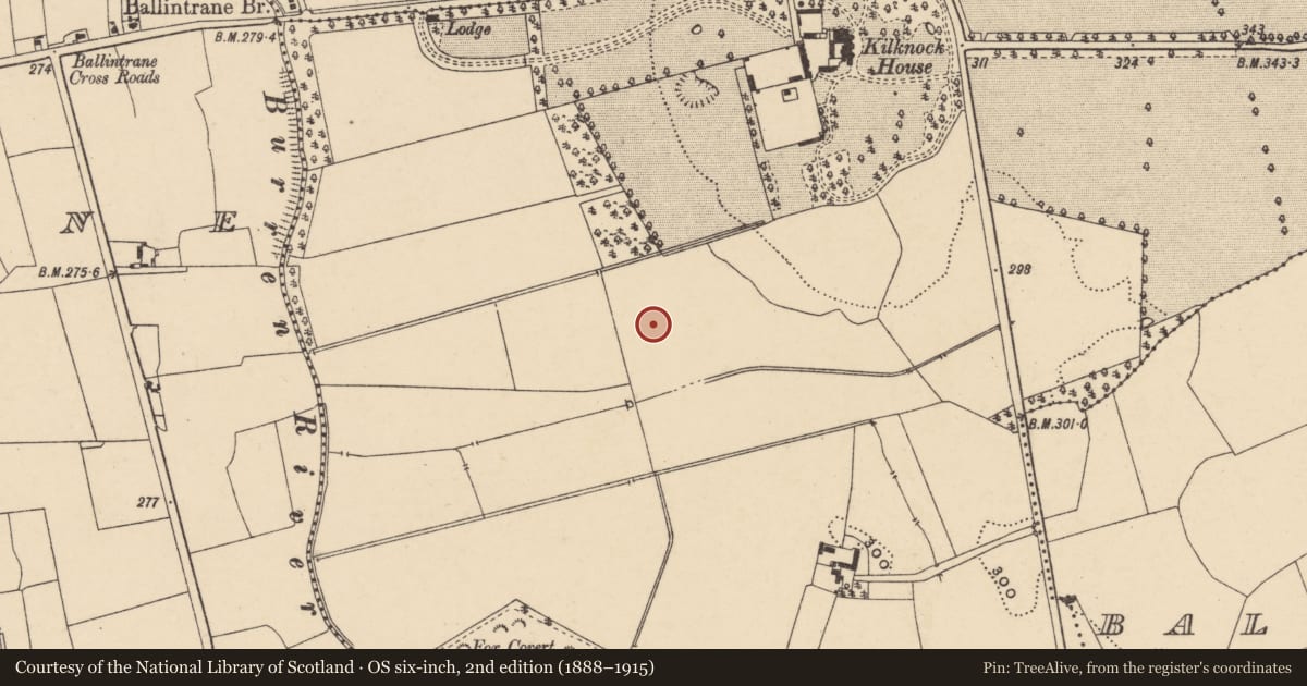Ordnance Survey six-inch map, 2nd edition (1888–1915) covering the location of Enclosure, Kilknock, County Carlow, with a pin at the register's coordinates