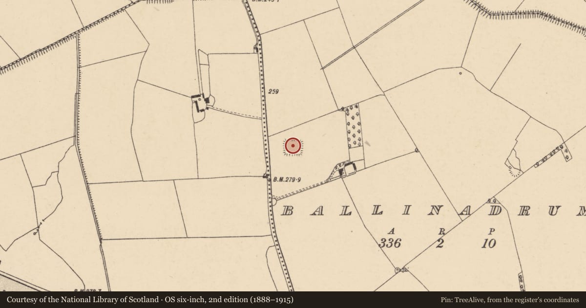 Ordnance Survey six-inch map, 2nd edition (1888–1915) covering the location of Moated site, Ballinadrum, County Carlow, with a pin at the register's coordinates