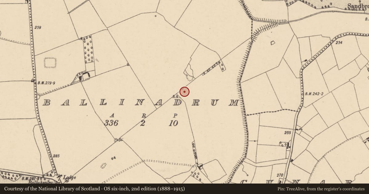 Ordnance Survey six-inch map, 2nd edition (1888–1915) covering the location of Enclosure, Ballinadrum, County Carlow, with a pin at the register's coordinates
