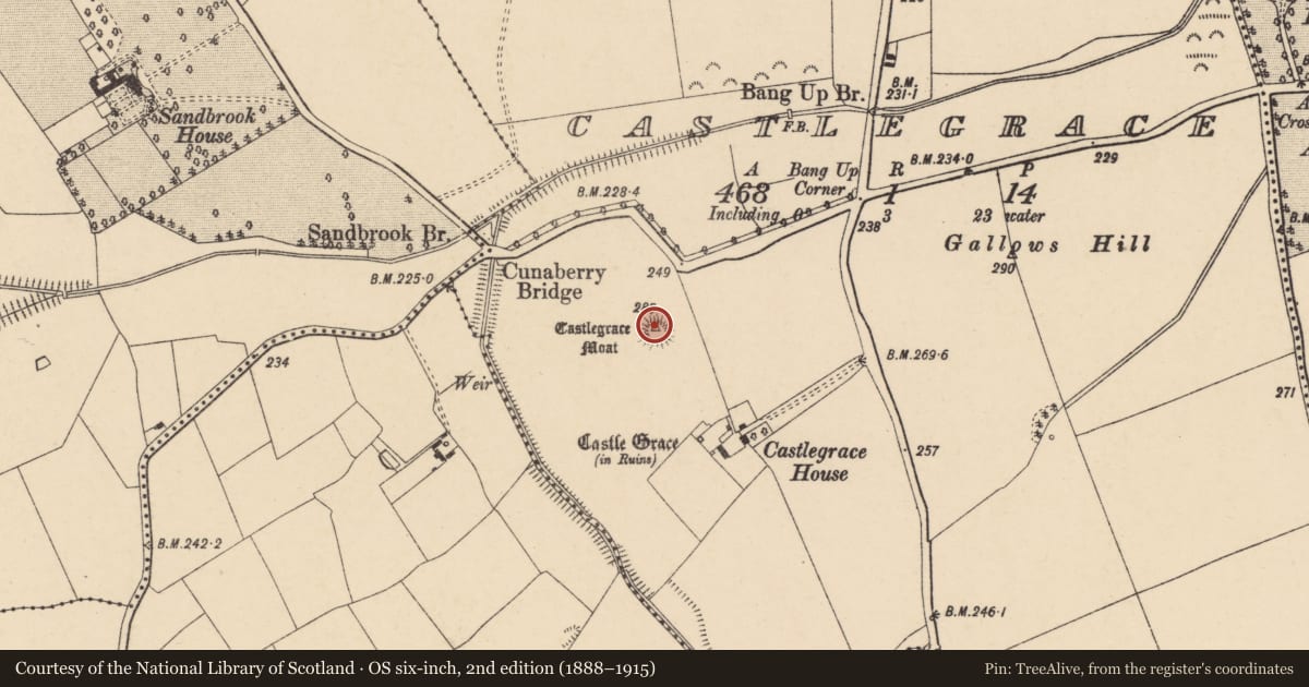 Ordnance Survey six-inch map, 2nd edition (1888–1915) covering the location of Castle - motte, Castlegrace, County Carlow, with a pin at the register's coordinates