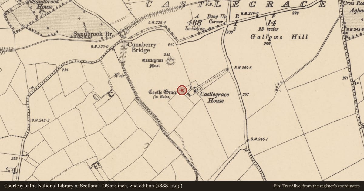 Ordnance Survey six-inch map, 2nd edition (1888–1915) covering the location of Castle - unclassified, Castlegrace, County Carlow, with a pin at the register's coordinates