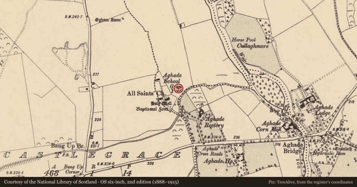 Ordnance Survey six-inch map, 2nd edition (1888–1915) covering the location of Burial ground, Aghade, County Carlow, with a pin at the register's coordinates