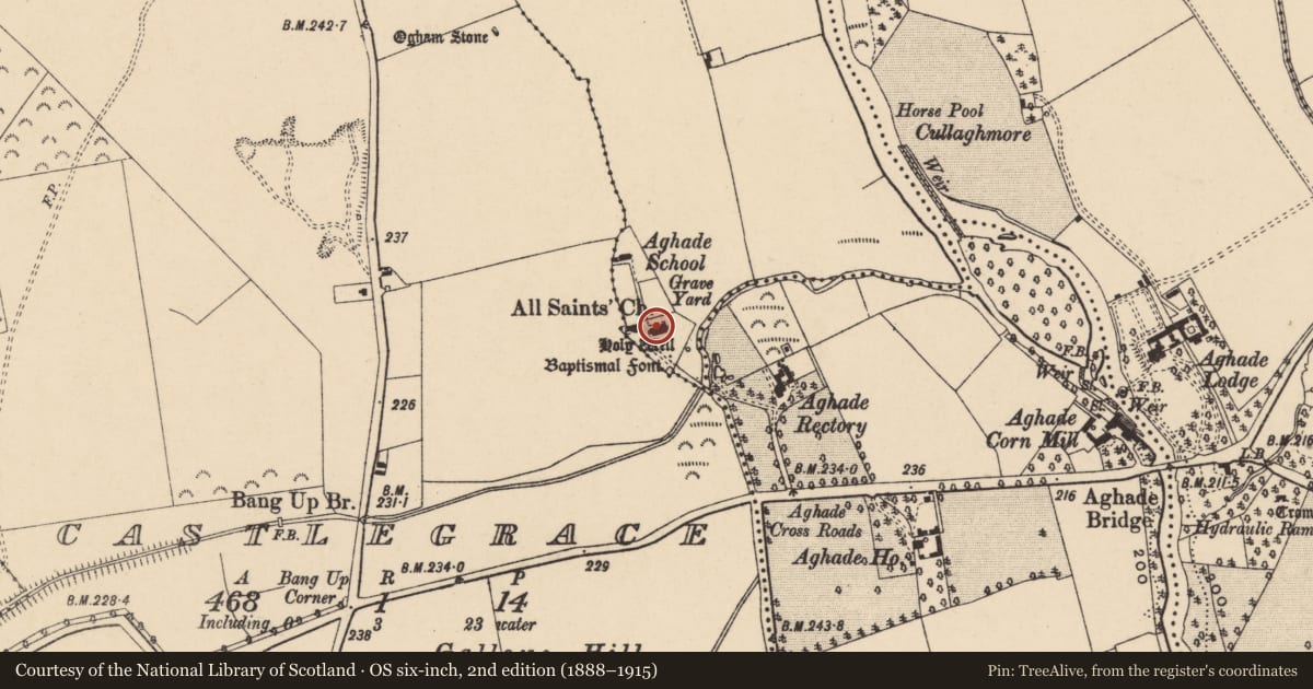 Ordnance Survey six-inch map, 2nd edition (1888–1915) covering the location of Religious house - Augustinian nuns, Aghade, County Carlow, with a pin at the register's coordinates
