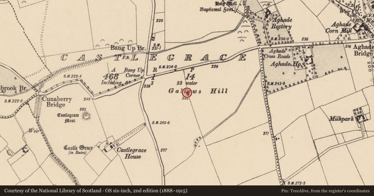 Ordnance Survey six-inch map, 2nd edition (1888–1915) covering the location of Flat cemetery, Castlegrace, County Carlow, with a pin at the register's coordinates