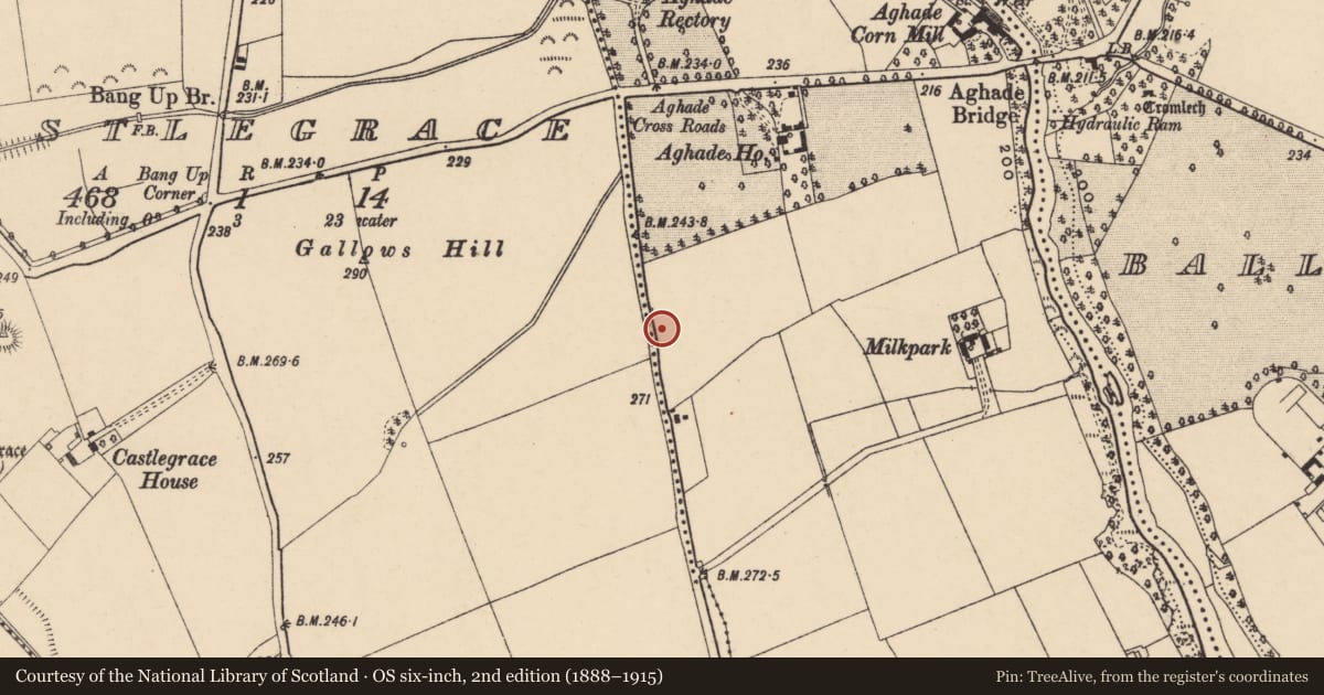 Ordnance Survey six-inch map, 2nd edition (1888–1915) covering the location of Enclosure, Carrickslaney, Castlegrace, County Carlow, with a pin at the register's coordinates