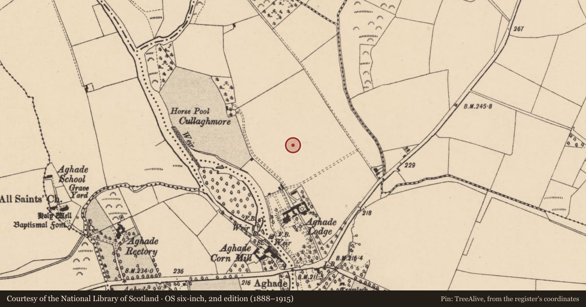 Ordnance Survey six-inch map, 2nd edition (1888–1915) covering the location of Standing stone, Ballynoe Or Newtown, County Carlow, with a pin at the register's coordinates