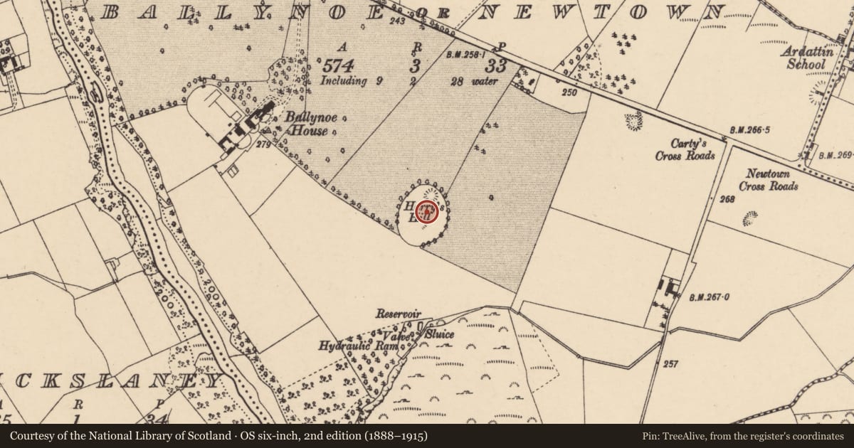 Ordnance Survey six-inch map, 2nd edition (1888–1915) covering the location of Designed landscape - tree-ring, Ballynoe Or Newtown, County Carlow, with a pin at the register's coordinates