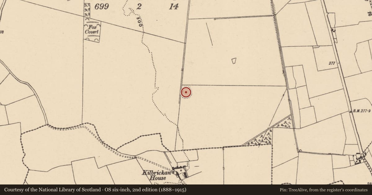 Ordnance Survey six-inch map, 2nd edition (1888–1915) covering the location of Enclosure, Ballintrane, County Carlow, with a pin at the register's coordinates