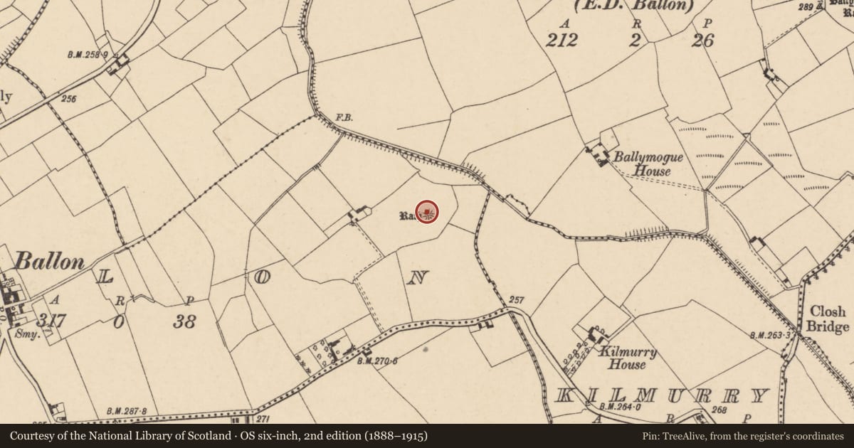Ordnance Survey six-inch map, 2nd edition (1888–1915) covering the location of Barrow - ring-barrow, Ballon, County Carlow, with a pin at the register's coordinates