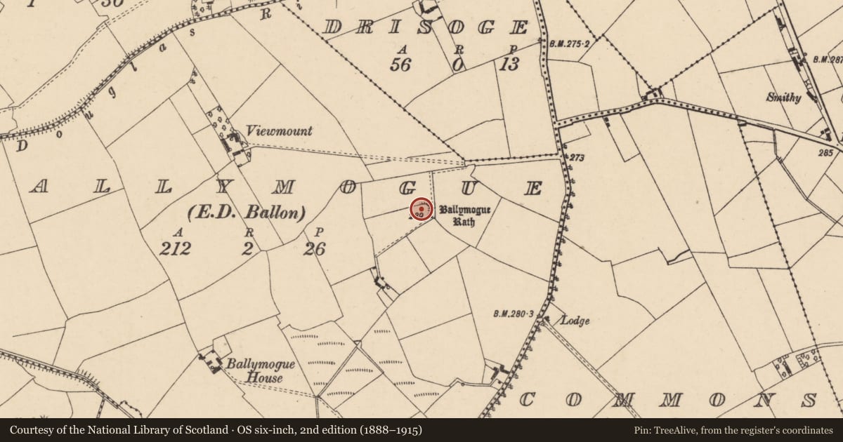 Ordnance Survey six-inch map, 2nd edition (1888–1915) covering the location of Enclosure, Ballymogue, County Carlow, with a pin at the register's coordinates
