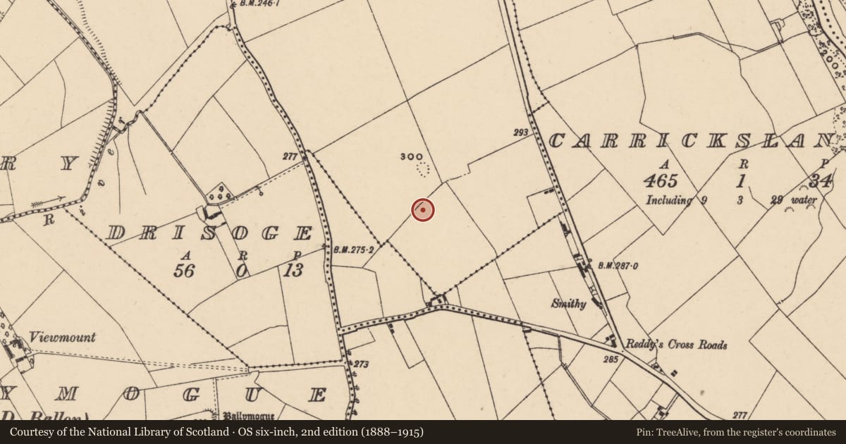 Ordnance Survey six-inch map, 2nd edition (1888–1915) covering the location of Burial ground, Castlegrace, County Carlow, with a pin at the register's coordinates