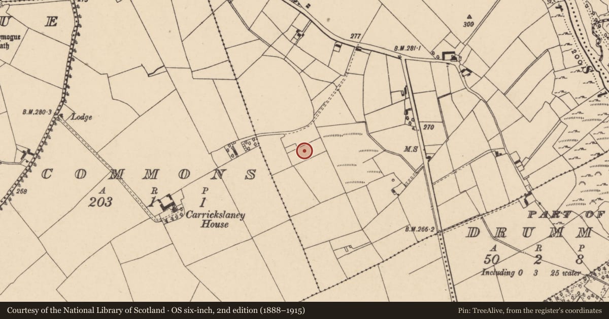 Ordnance Survey six-inch map, 2nd edition (1888–1915) covering the location of Fulacht fia, Carrickslaney, County Carlow, with a pin at the register's coordinates