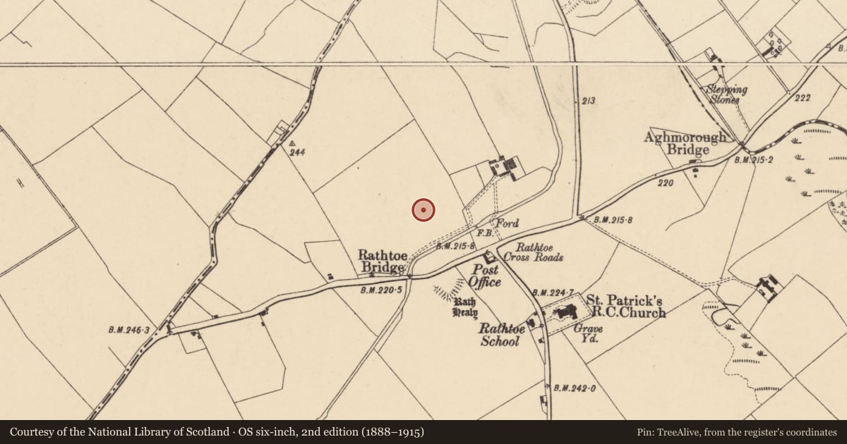 Ordnance Survey six-inch map, 2nd edition (1888–1915) covering the location of Enclosure, Rathtoe, County Carlow, with a pin at the register's coordinates