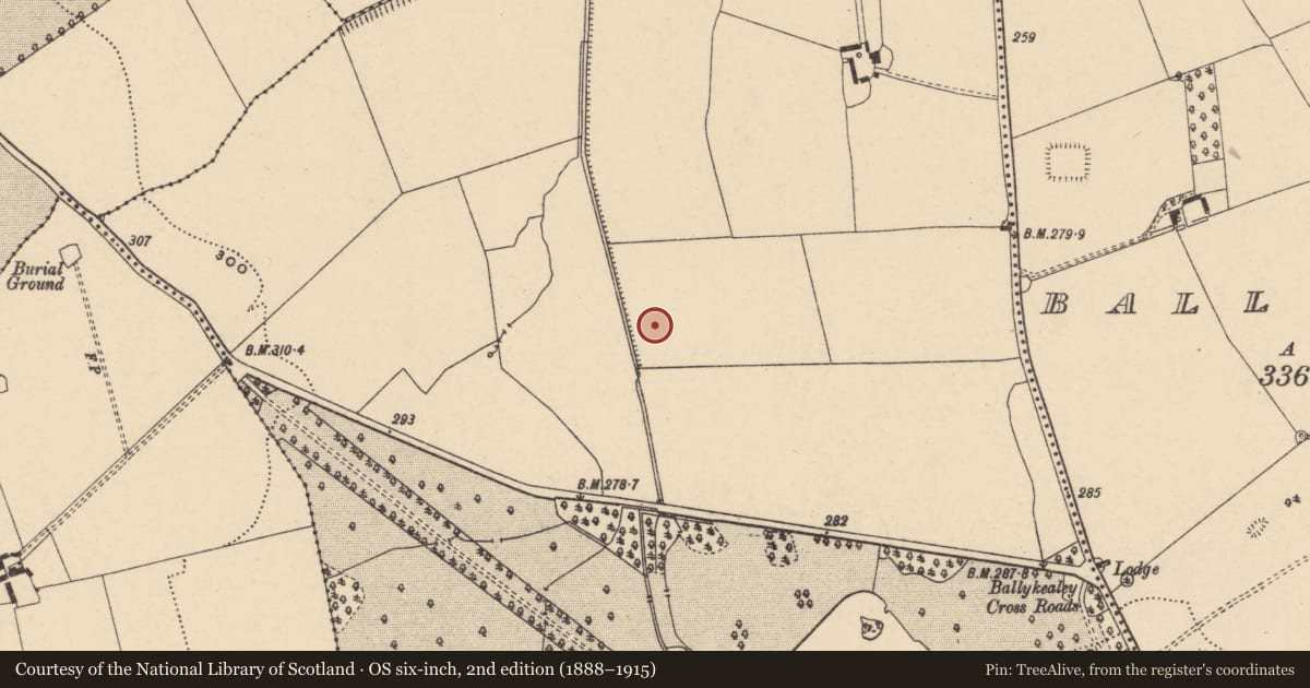 Ordnance Survey six-inch map, 2nd edition (1888–1915) covering the location of Fulacht fia, Ballykealey, County Carlow, with a pin at the register's coordinates