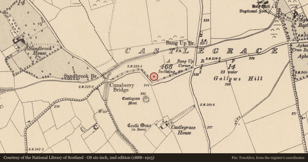 Ordnance Survey six-inch map, 2nd edition (1888–1915) covering the location of Mound, Castlegrace, County Carlow, with a pin at the register's coordinates