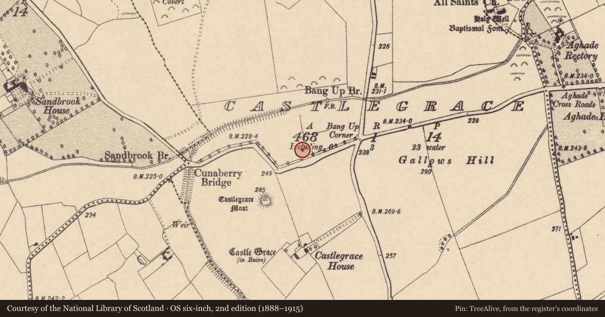 Ordnance Survey six-inch map, 2nd edition (1888–1915) covering the location of Mound, Castlegrace, County Carlow, with a pin at the register's coordinates
